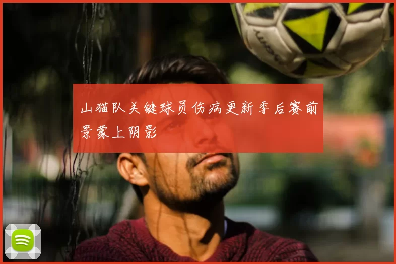 山猫队关键球员伤病更新季后赛前景蒙上阴影