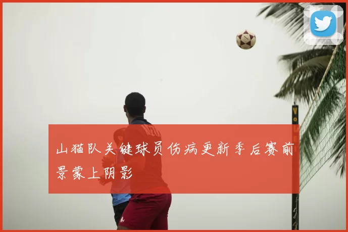 山猫队关键球员伤病更新季后赛前景蒙上阴影